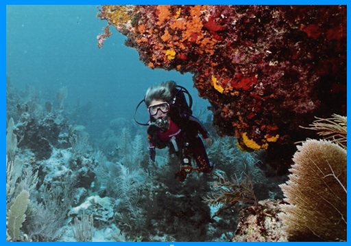 Heidi McDonald Teacher Scuba Diving in Cozumel Mexico